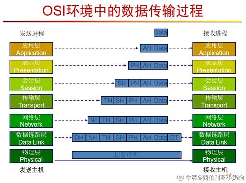 計(jì)算機(jī)網(wǎng)絡(luò)系統(tǒng)工程服務(wù) 構(gòu)建高效、安全、可靠的數(shù)字基石